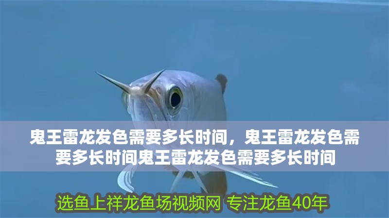 鬼王雷龍發(fā)色需要多長時(shí)間，鬼王雷龍發(fā)色需要多長時(shí)間鬼王雷龍發(fā)色需要多長時(shí)間