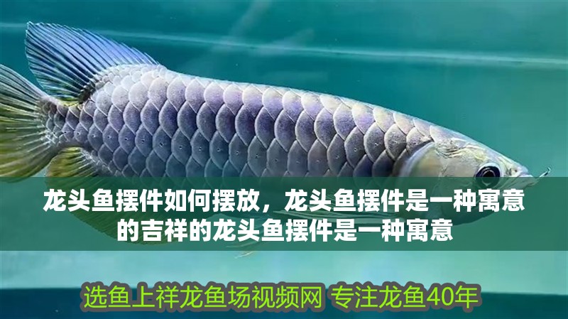 龍頭魚擺件如何擺放，龍頭魚擺件是一種寓意的吉祥的龍頭魚擺件是一種寓意