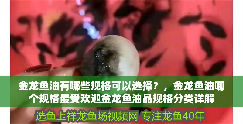 金龍魚油有哪些規格可以選擇？，金龍魚油哪個規格最受歡迎金龍魚油品規格分類詳解