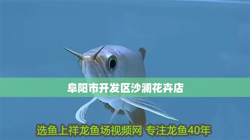 阜陽市開發區沙瀾花卉店 阜陽市開發區沙瀾花卉店 全國水族館企業名錄 第1張