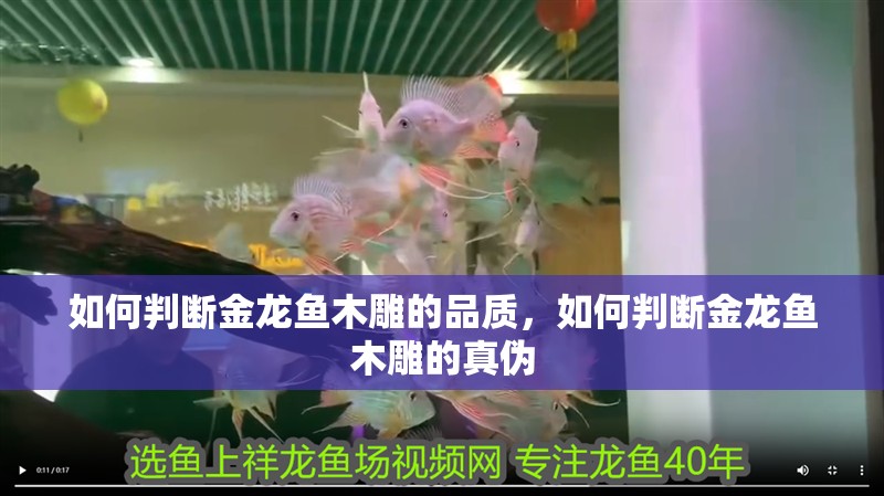 如何判斷金龍魚木雕的品質，如何判斷金龍魚木雕的真偽