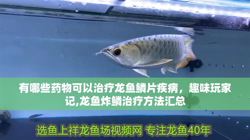 有哪些藥物可以治療龍魚鱗片疾病，趣味玩家記,龍魚炸鱗治療方法匯總