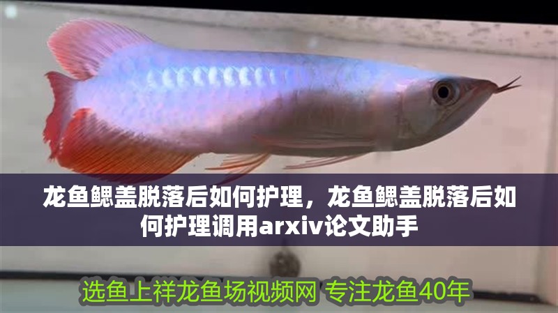 龍魚鰓蓋脫落后如何護理，龍魚鰓蓋脫落后如何護理調用arxiv論文助手