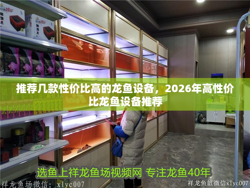 推薦幾款性價(jià)比高的龍魚設(shè)備，2026年高性價(jià)比龍魚設(shè)備推薦