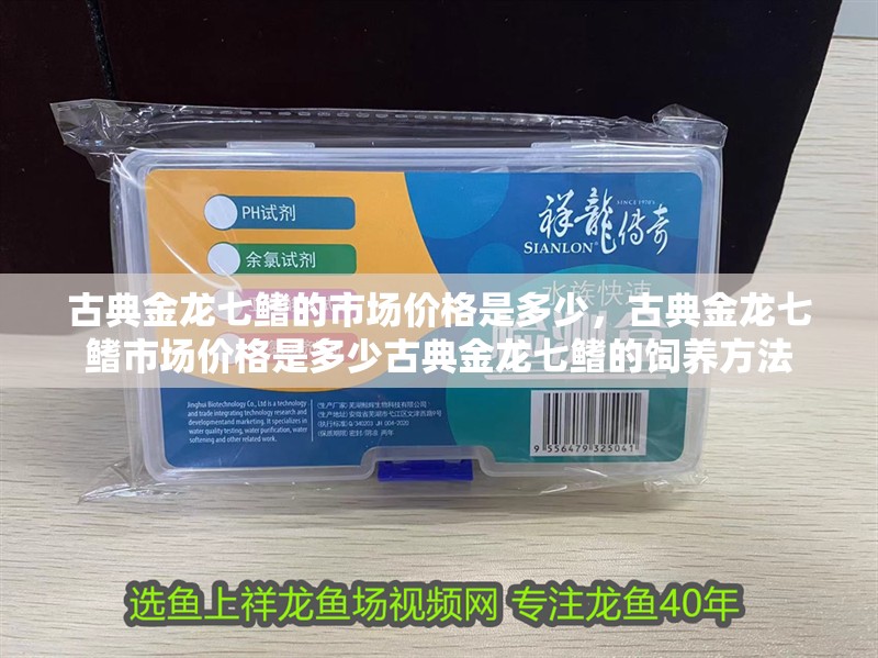 古典金龍七鰭的市場(chǎng)價(jià)格是多少，古典金龍七鰭市場(chǎng)價(jià)格是多少古典金龍七鰭的飼養(yǎng)方法