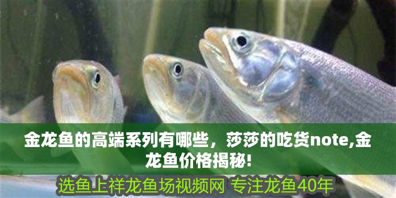 金龍魚的高端系列有哪些，莎莎的吃貨note,金龍魚價(jià)格揭秘!
