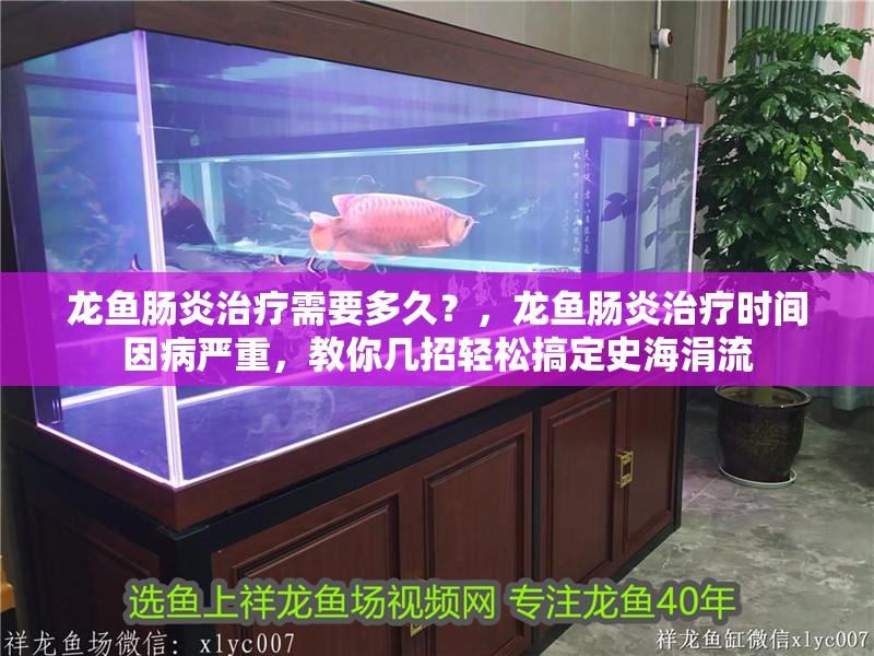 龍魚腸炎治療需要多久？，龍魚腸炎治療時(shí)間因病嚴(yán)重，教你幾招輕松搞定史海涓流