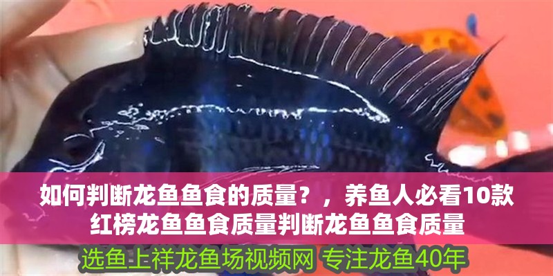 如何判斷龍魚魚食的質(zhì)量？，養(yǎng)魚人必看10款紅榜龍魚魚食質(zhì)量判斷龍魚魚食質(zhì)量