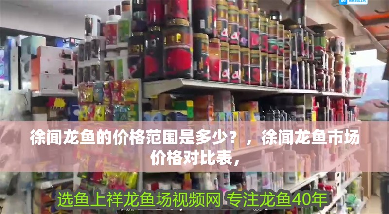 徐聞龍魚的價格范圍是多少？，徐聞龍魚市場價格對比表，