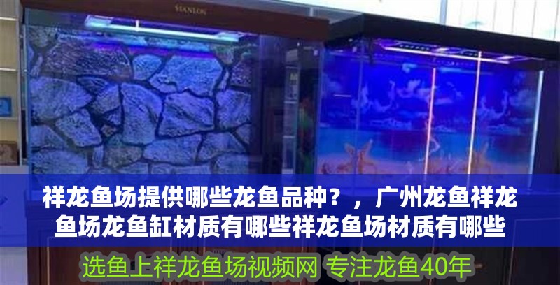 祥龍魚場提供哪些龍魚品種？，廣州龍魚祥龍魚場龍魚缸材質有哪些祥龍魚場材質有哪些