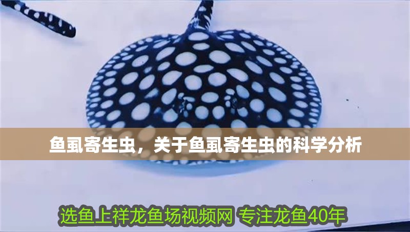 魚虱寄生蟲，關于魚虱寄生蟲的科學分析