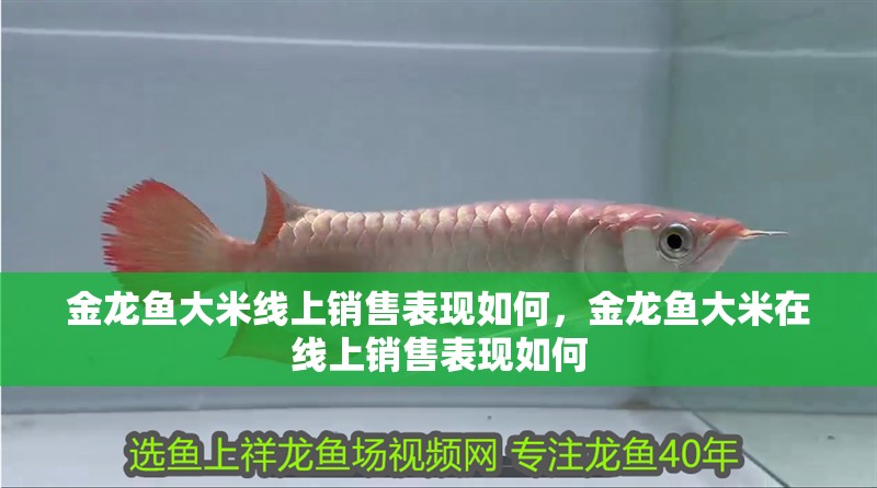 金龍魚大米線上銷售表現(xiàn)如何，金龍魚大米在線上銷售表現(xiàn)如何