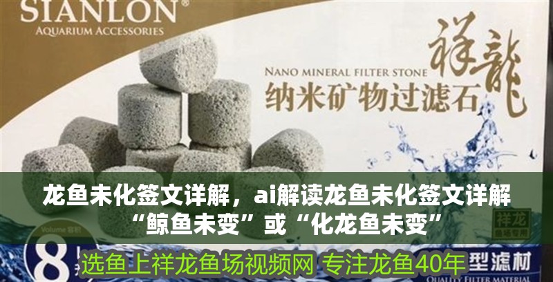 龍魚未化簽文詳解，ai解讀龍魚未化簽文詳解“鯨魚未變”或“化龍魚未變”