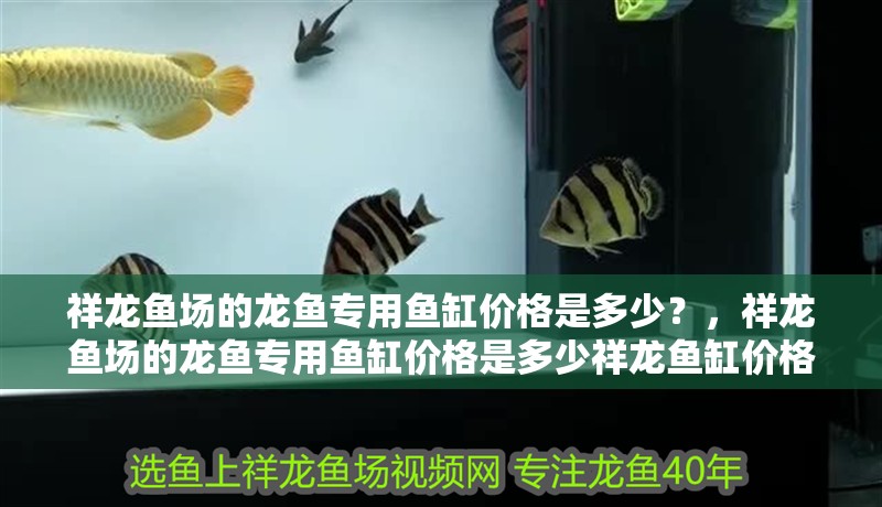 祥龍魚場的龍魚專用魚缸價(jià)格是多少？，祥龍魚場的龍魚專用魚缸價(jià)格是多少祥龍魚缸價(jià)格是多少