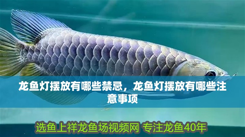 龍魚燈擺放有哪些禁忌，龍魚燈擺放有哪些注意事項