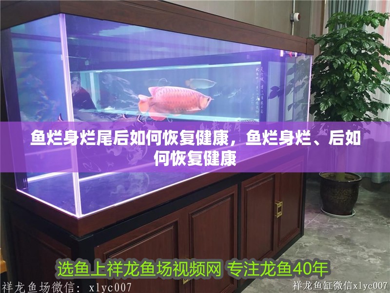 魚爛身爛尾后如何恢復健康，魚爛身爛、后如何恢復健康