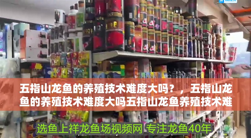 五指山龍魚的養殖技術難度大嗎？，五指山龍魚的養殖技術難度大嗎五指山龍魚養殖技術難度大嗎