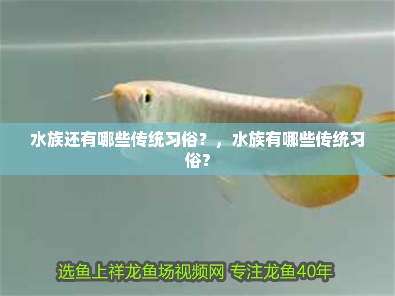 水族還有哪些傳統(tǒng)習(xí)俗？，水族有哪些傳統(tǒng)習(xí)俗？