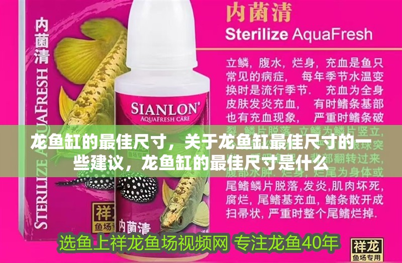 龍魚缸的最佳尺寸，關(guān)于龍魚缸最佳尺寸的一些建議，龍魚缸的最佳尺寸是什么
