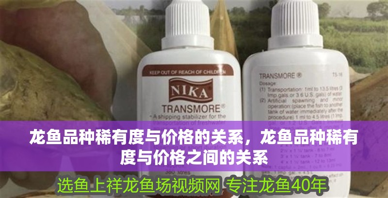 龍魚品種稀有度與價格的關系，龍魚品種稀有度與價格之間的關系