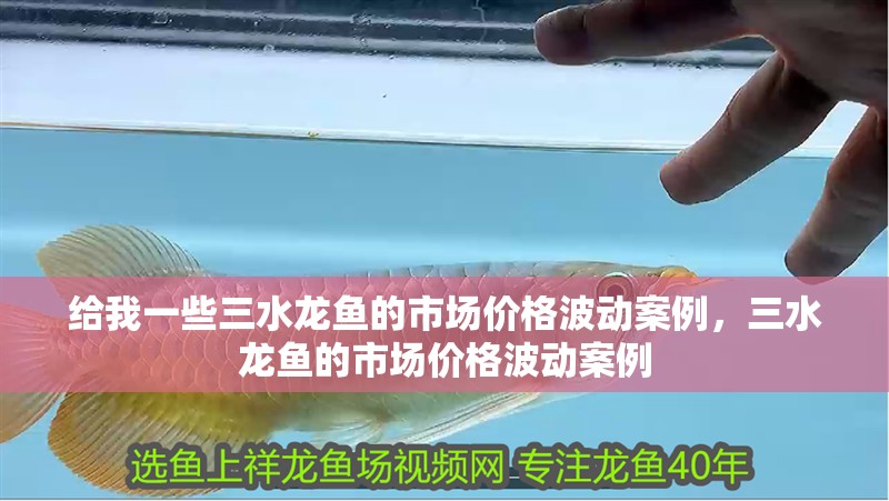 給我一些三水龍魚的市場價格波動案例，三水龍魚的市場價格波動案例
