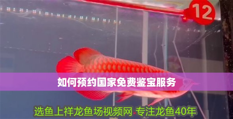 如何預約國家免費鑒寶服務