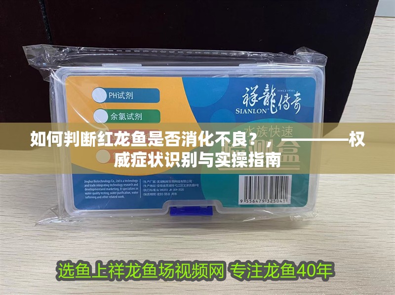 如何判斷紅龍魚是否消化不良？，————權威癥狀識別與實操指南