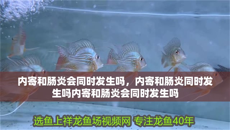 內寄和腸炎會同時發生嗎，內寄和腸炎同時發生嗎內寄和腸炎會同時發生嗎