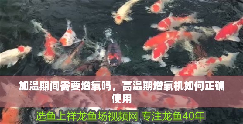 加溫期間需要增氧嗎，高溫期增氧機如何正確使用