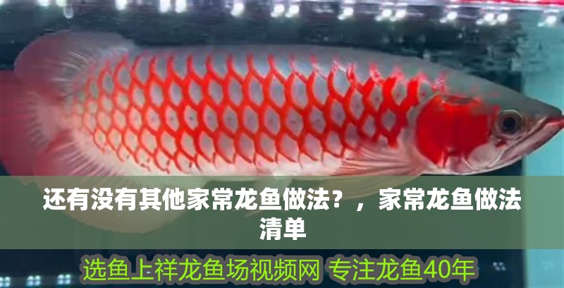 還有沒有其他家常龍魚做法？，家常龍魚做法清單