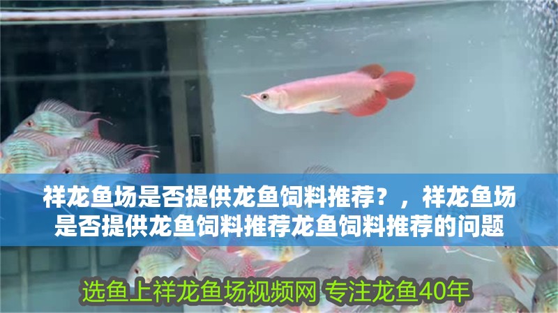 祥龍魚場是否提供龍魚飼料推薦？，祥龍魚場是否提供龍魚飼料推薦龍魚飼料推薦的問題