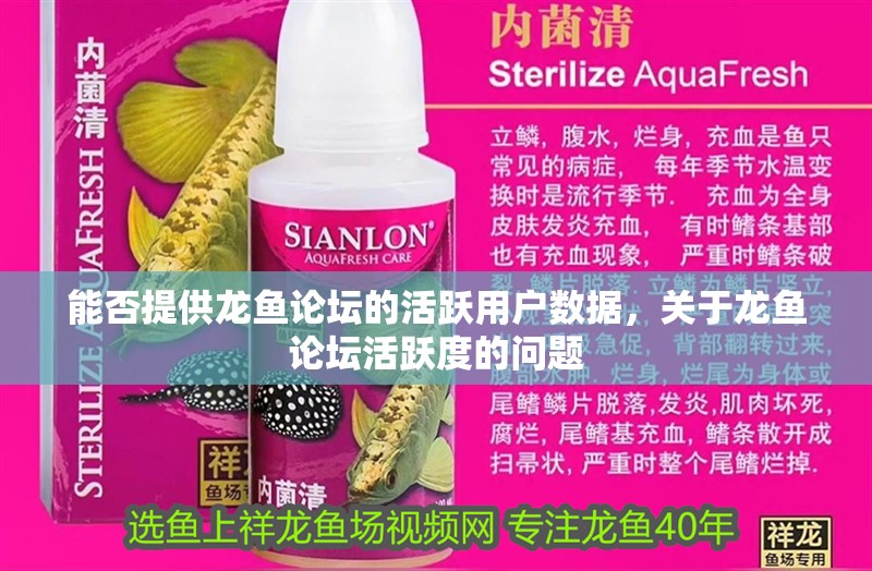 能否提供龍魚論壇的活躍用戶數據，關于龍魚論壇活躍度的問題