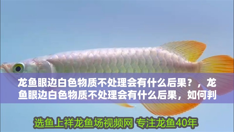 龍魚眼邊白色物質(zhì)不處理會有什么后果？，龍魚眼邊白色物質(zhì)不處理會有什么后果，如何判斷龍魚是否蒙眼