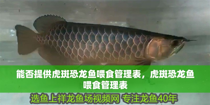 能否提供虎斑恐龍魚(yú)喂食管理表，虎斑恐龍魚(yú)喂食管理表
