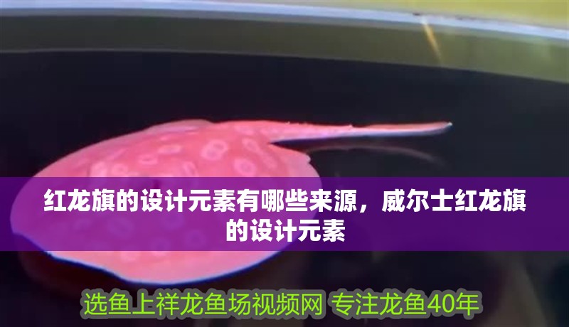 紅龍旗的設(shè)計元素有哪些來源，威爾士紅龍旗的設(shè)計元素