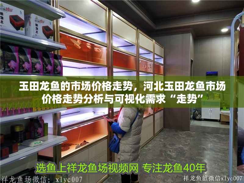 玉田龍魚的市場價格走勢，河北玉田龍魚市場價格走勢分析與可視化需求“走勢”