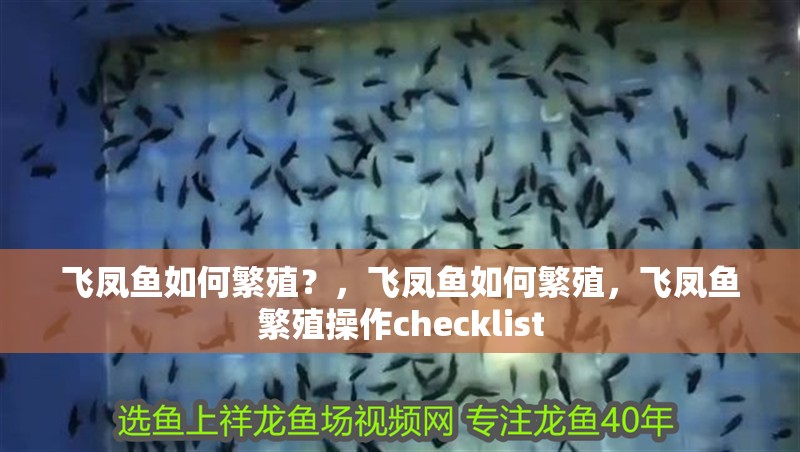 飛鳳魚如何繁殖？，飛鳳魚如何繁殖，飛鳳魚繁殖操作checklist