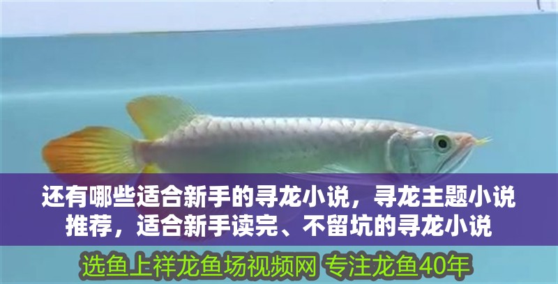 還有哪些適合新手的尋龍小說，尋龍主題小說推薦，適合新手讀完、不留坑的尋龍小說