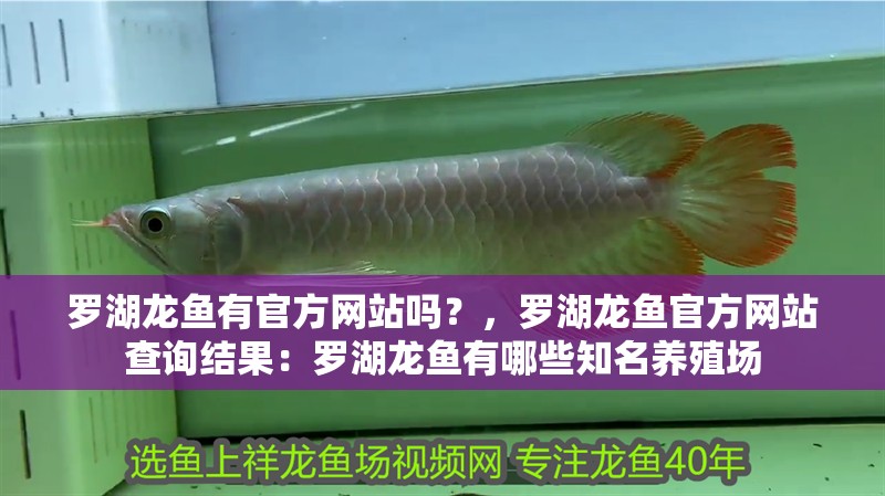 羅湖龍魚有官方網(wǎng)站嗎？，羅湖龍魚官方網(wǎng)站查詢結果：羅湖龍魚有哪些知名養(yǎng)殖場