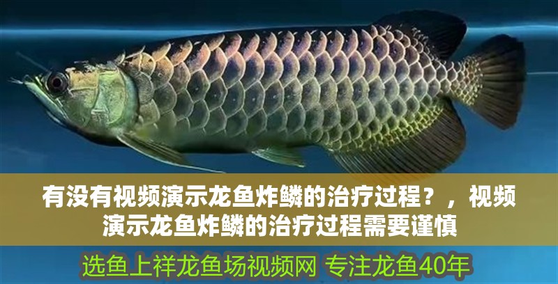 有沒有視頻演示龍魚炸鱗的治療過程？，視頻演示龍魚炸鱗的治療過程需要謹慎