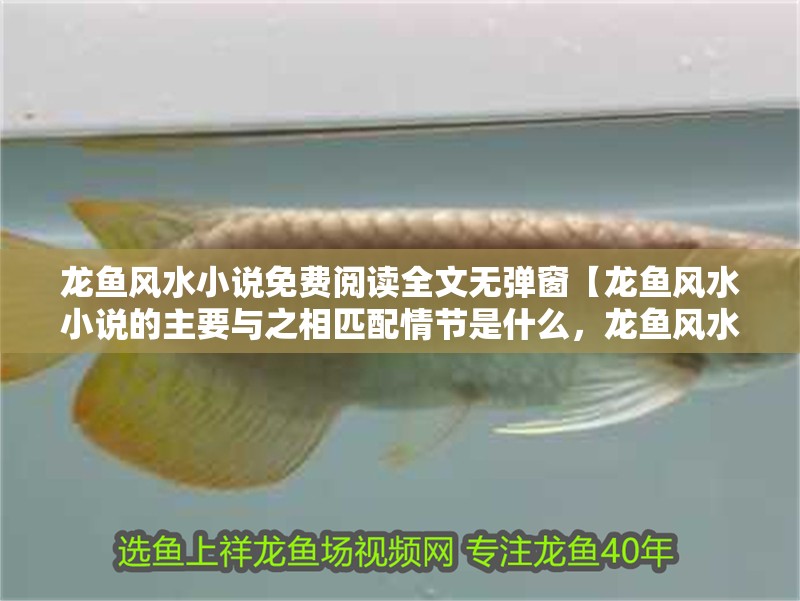 龍魚風水小說免費閱讀全文無彈窗【龍魚風水小說的主要與之相匹配情節是什么，龍魚風水布局】 龍魚風水小說免費閱讀全文無彈窗【龍魚風水小說的主要與之相匹配情節是什么，龍魚風水布局】 水族問答