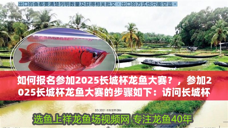 如何報名參加2025長城杯龍魚大賽？，參加2025長城杯龍魚大賽的步驟如下：訪問長城杯龍魚大賽
