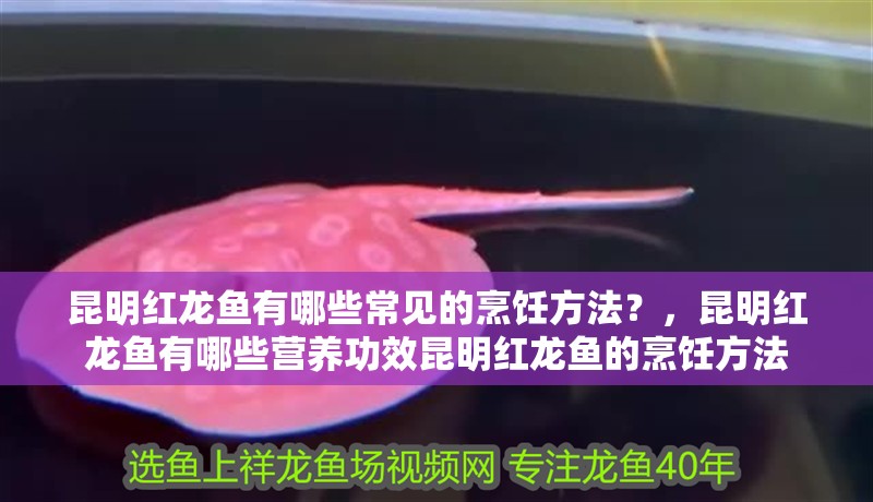 昆明紅龍魚有哪些常見的烹飪方法？，昆明紅龍魚有哪些營養(yǎng)功效昆明紅龍魚的烹飪方法