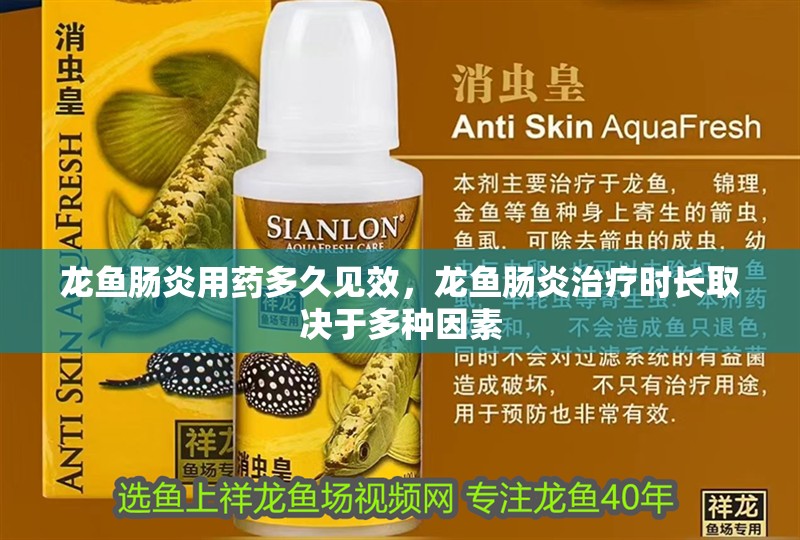 龍魚腸炎用藥多久見效，龍魚腸炎治療時長取決于多種因素