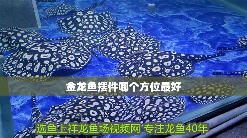 金龍魚擺件哪個方位最好