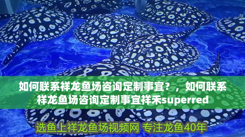 如何聯系祥龍魚場咨詢定制事宜？，如何聯系祥龍魚場咨詢定制事宜祥禾superred