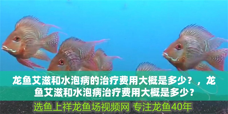 龍魚艾滋和水泡病的治療費用大概是多少？，龍魚艾滋和水泡病治療費用大概是多少？