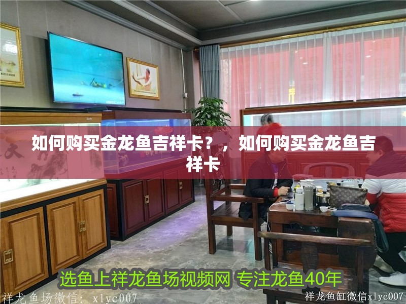 如何購買金龍魚吉祥卡？，如何購買金龍魚吉祥卡