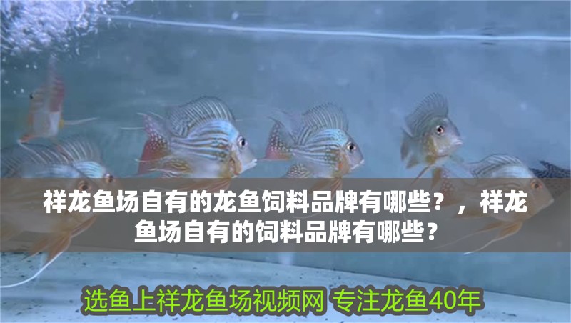 祥龍魚場自有的龍魚飼料品牌有哪些？，祥龍魚場自有的飼料品牌有哪些？