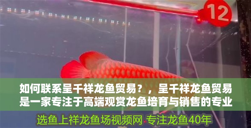 如何聯系呈千祥龍魚貿易？，呈千祥龍魚貿易是一家專注于高端觀賞龍魚培育與銷售的專業漁場